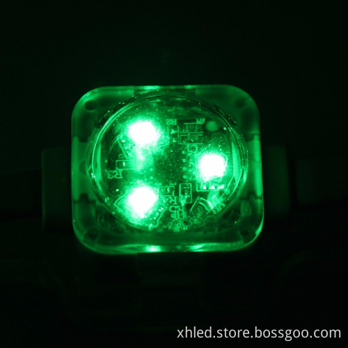 30000hrs Lifespan Full Color IP67 25mm SMD5050 0.75W DC12V Waterproof RGB Led Pixel Light String